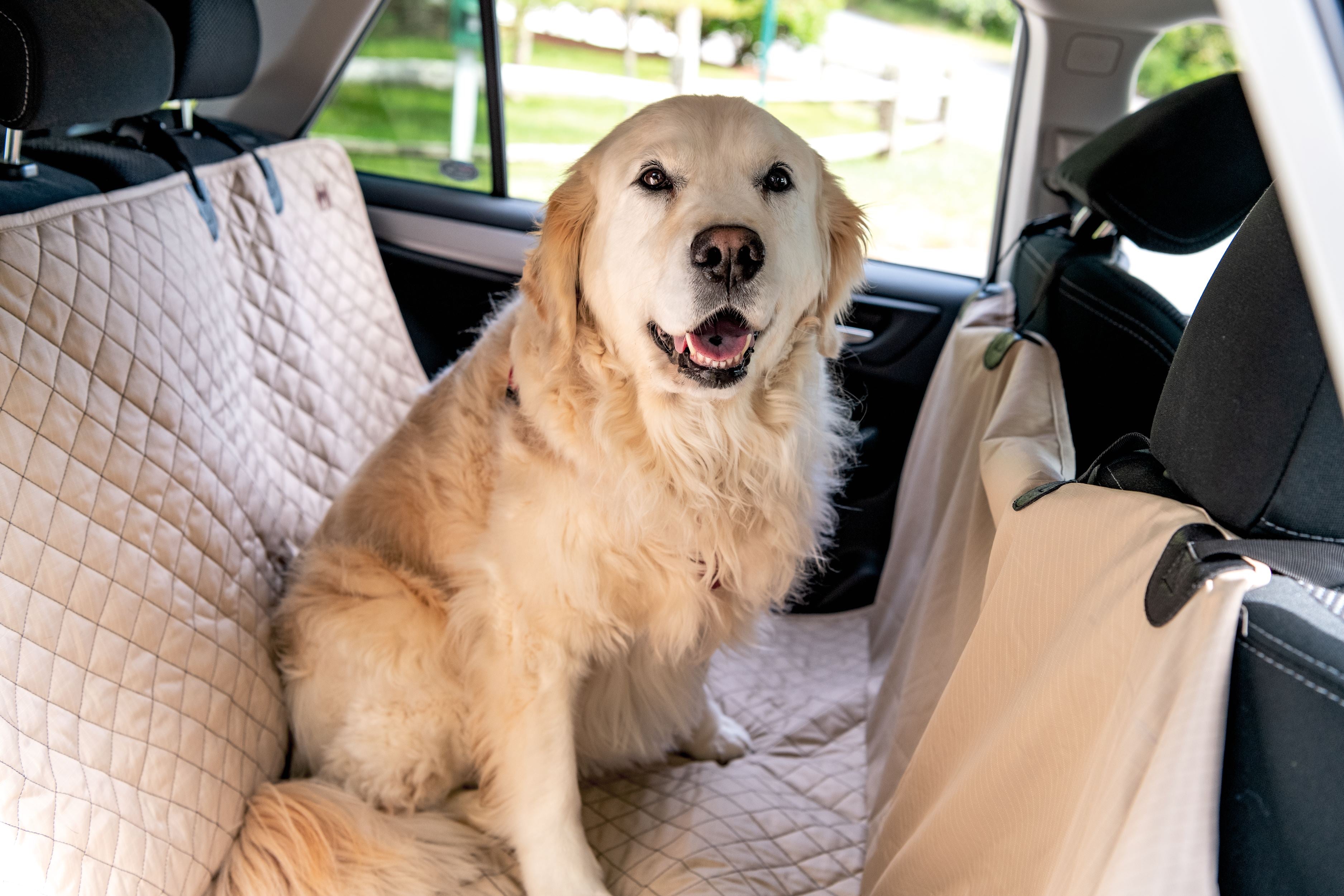 TuffutLuxx® Vehicle Protectors for Travel