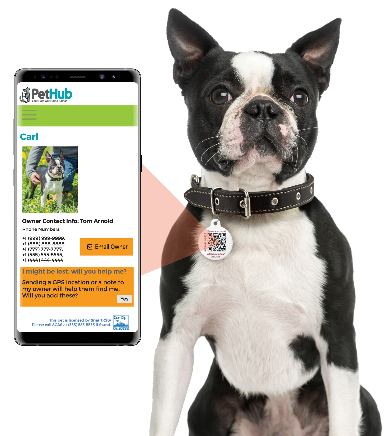 QR ID Pet Tag - Lost AF